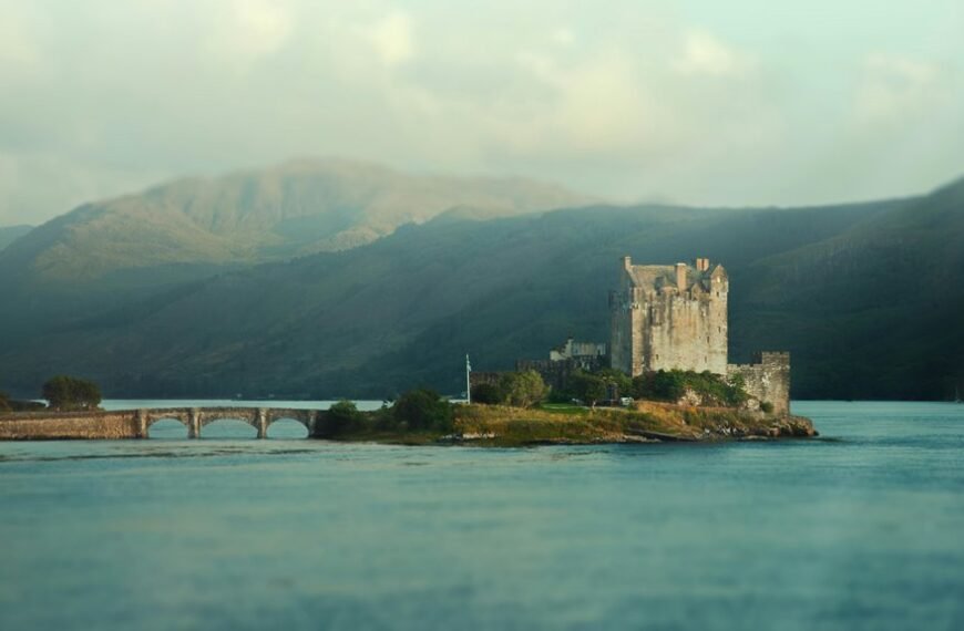 yomovies movie streaming site