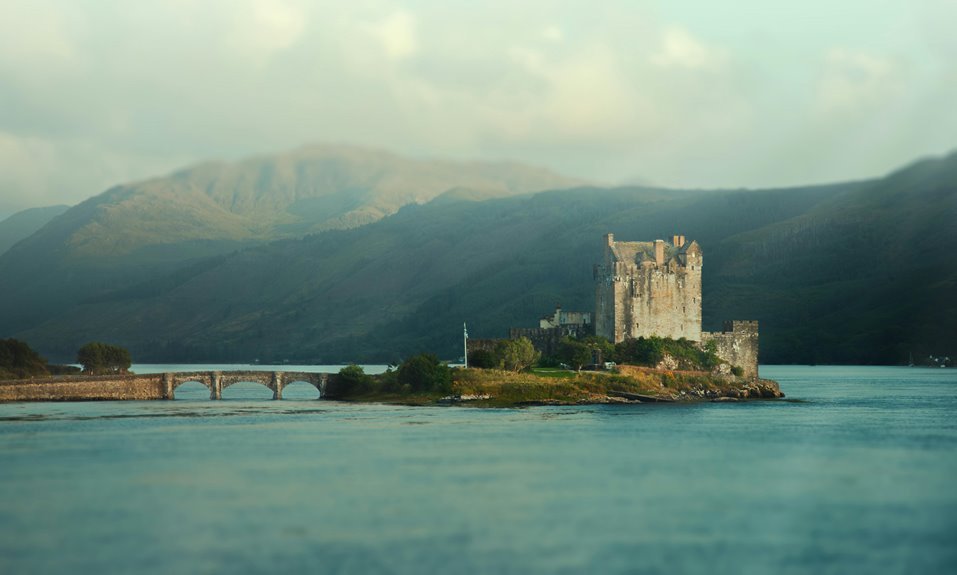 yomovies movie streaming site